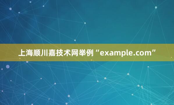 上海顺川嘉技术网举例“example.com”